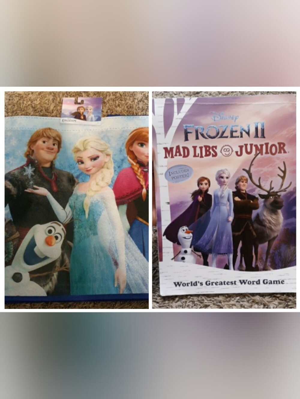 #763NWT Disney Frozen tote + book.